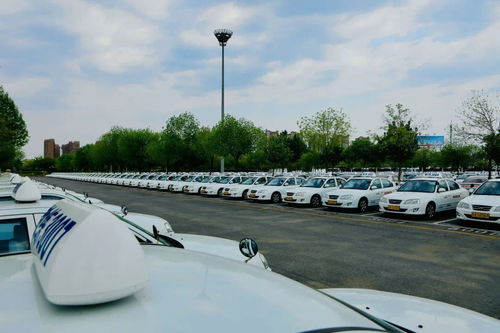 梨園學大車哪家強