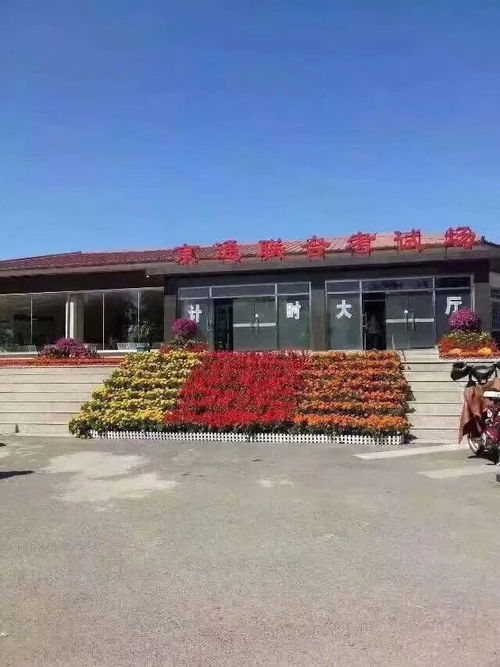 圖 三星駕校全面招生 快速拿本、服務優質、無亂收費的北京駕校選擇